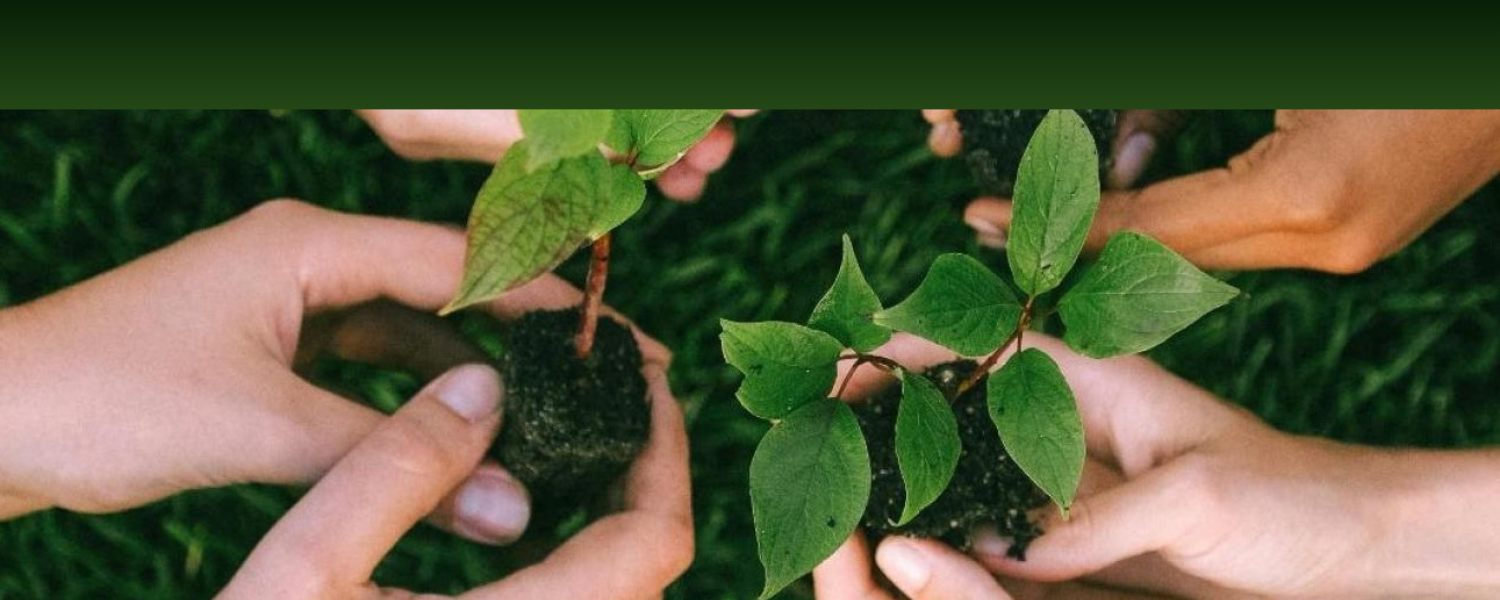 BIP-Learning to Give (Volunteering) în cadrul alianței RUN-EU 2.0